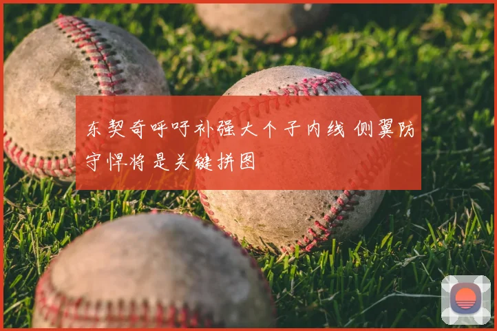 东契奇呼吁补强大个子内线 侧翼防守悍将是关键拼图