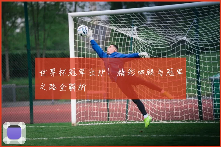 世界杯冠军出炉!精彩回顾与冠军之路全解析