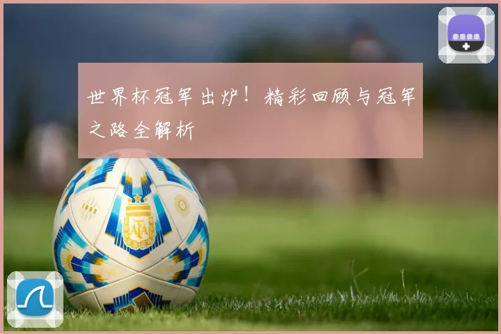 世界杯冠军出炉!精彩回顾与冠军之路全解析